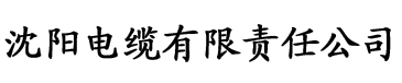 韩国《结婚前夜》电缆厂logo